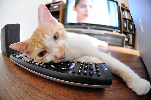 76人连胜稳步前行！，76人连败纪录