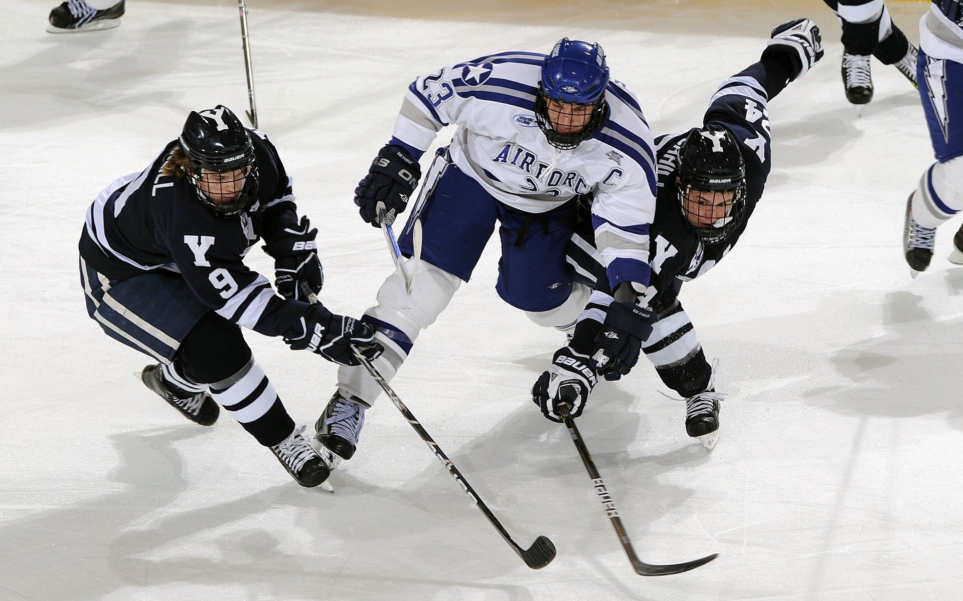 裁判误差率下降，技术统计助力判罚精确化，裁判误判的后果